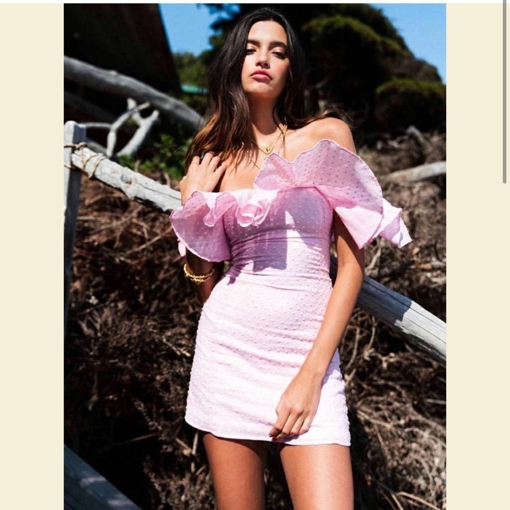 Vanessa Mooney Joelyn Dress Pink New with Tags!
